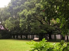 -上海宋庆龄故居纪念馆
