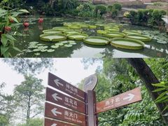 -广州莲花山旅游区