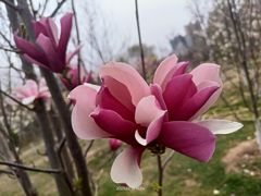 -陕西省西安植物园
