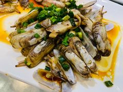-金海湾海鲜排档(朱家尖店)