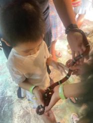 -酷嗒动物文化乐园(cutezoo西溪乐天城店)