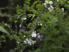 -北山街历史文化街区