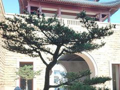-苏州吴宫泛太平洋酒店