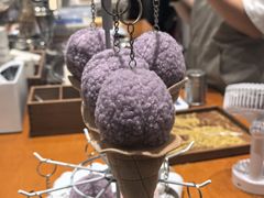 -野人先生现做冰淇淋(北京环宇荟店)