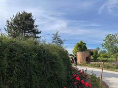 -安德鲁户外烧烤帐篷营地(马泉营店)