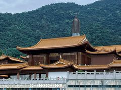 -深圳仙湖植物园