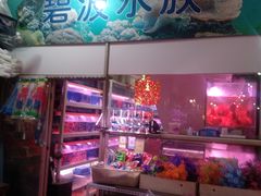 -宝鸡东道花鸟鱼虫市场(吉利花园商场店)