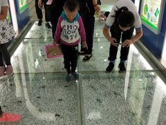 景点昆虫展厅-石家庄市动物园