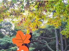 -八大关景区
