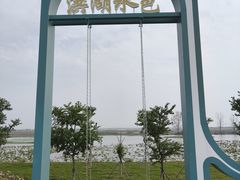 -洪湖生态旅游区