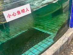 -天怡·鱼工厂(临江店)