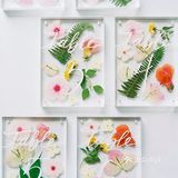 最美的室外婚礼[加油]