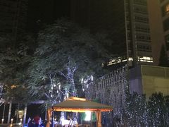 -Plush大堂酒廊(北京金融街威斯汀大酒店)