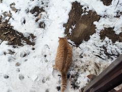 -终南山南五台景区