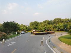 -太湖饭店玉兰厅(自助餐厅)