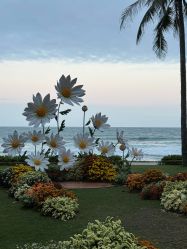 -武汉富力威斯汀酒店·宴会厅