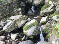 -藏龙百瀑风景区