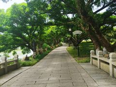 -江心屿景区