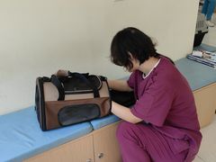 -美联众合动物医院·24h京西诊疗中心