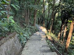 -广州市帽峰山景区