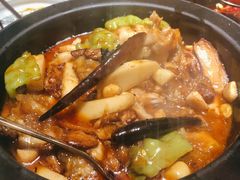 黑松露牛蛙-云海肴·汽锅鸡·云南菜(高德置地店)