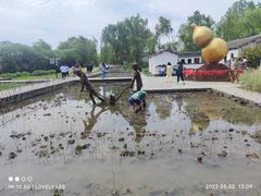 -溱湖国家湿地公园