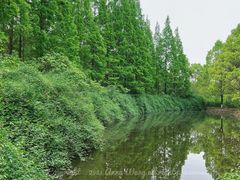 -成都南湖公园
