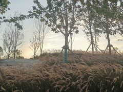 -灞河西岸滨河公园