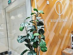 -许小树(国贸商城店)