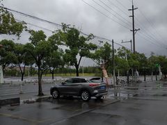 -闵行文化公园-停车场