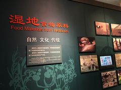 -中国湿地博物馆