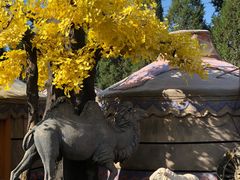 -大汗行宫园林餐厅