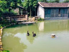 -长泰漂流水陆空景区