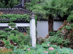-莫愁湖公园