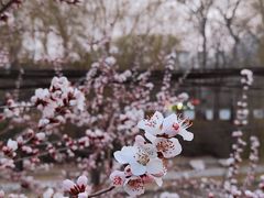 -元大都城垣遗址公园