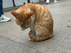 -西园寺素食(西园弄戒幢律寺店)