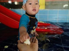 -南宫温泉水世界