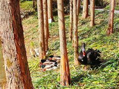 -天目湖涵田半山温泉