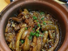 -鸽王世家(东华东路店)
