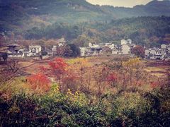 -塔川景区