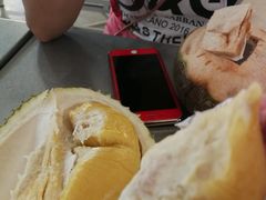 -都念榴莲·城市榴莲