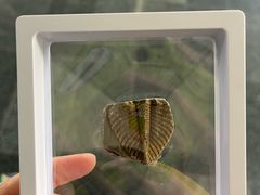 -房山世界地质公园博物馆