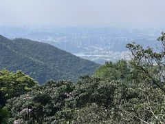 -梧桐山风景名胜区