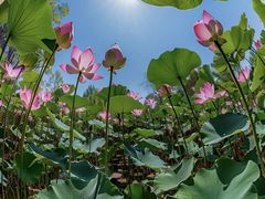 -曼哈顿商业广场(升龙广场店)