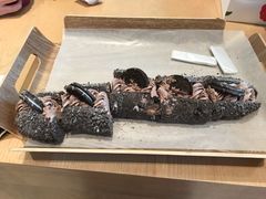 -奈雪的茶(大梅沙8号仓店)
