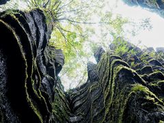 -梭布垭石林景区