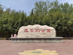 -莲花池公园
