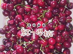 -红星农博物流中心