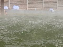 -春晖园度假酒店温泉