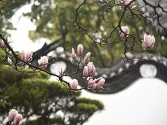 -豫园